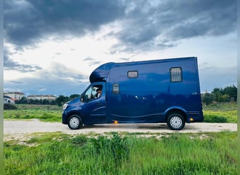 Zum verkaufen Pferdetransporter Renault ATM Haras / 5-Sitzer NEW