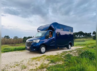 Zum verkaufen Pferdetransporter Renault ATM Haras / 5-Sitzer NEW
