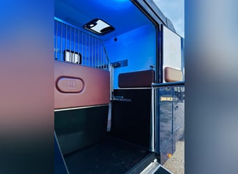 Zum verkaufen Pferdetransporter Renault ATM Haras / 5-Sitzer NEW