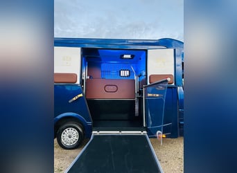 Zum verkaufen Pferdetransporter Renault ATM Haras / 5-Sitzer NEW