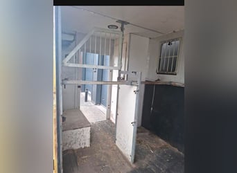 Zweipferdewagen. In den Niederlanden frei von Kfz-Steuer, TÜV bis Dezember 2027.