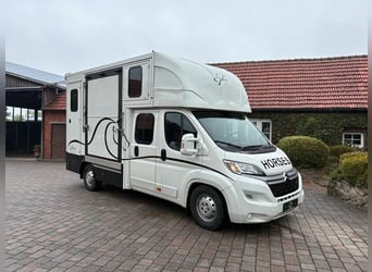 Pferdetransporter – 2 Pferde  7 Sitzplätze
