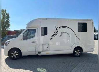 Renault STX sofort verfügbar ! AUTOMATIKGETRIEBE