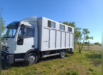 Transporter für 3 Pferde