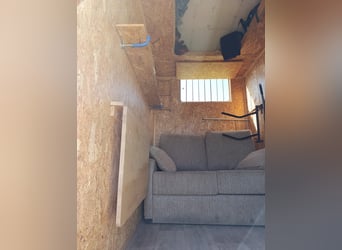 Transporter für 3 Pferde