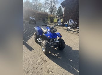 Yamaha Warrior 350