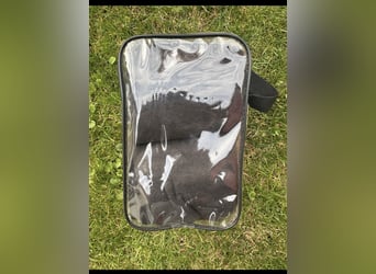 2x Bandagen schwarz mit Glitzerrand WB