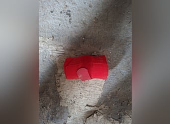Bandage Rot - Einzelstück