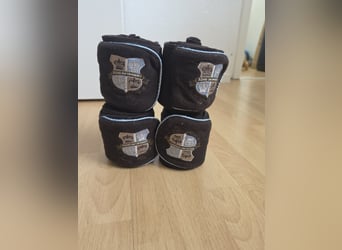 HV Polo Bandagen WB braun
