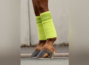 Personalisierte Bandagen