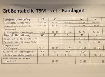 TSM-vet Reha Polsterbandagen Vorderfusswurzelgelenk re+li