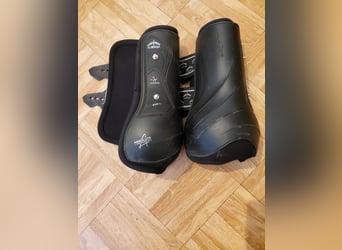 VEREDUS Dressurgamaschen Absolute Elastic, für die Hinterbeine L