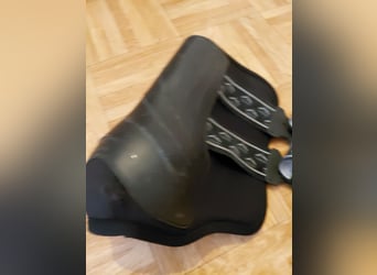 VEREDUS Dressurgamaschen Absolute Elastic, für die Hinterbeine L