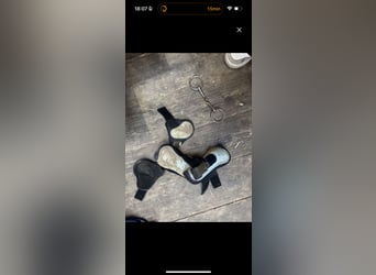 Ponyzubehör zu VERSCHENKEN