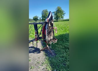 Festtagsgeschirr  für Kaltblüter 