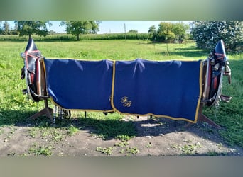 Festtagsgeschirr  für Kaltblüter 