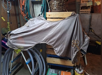 Fliegenausreitdecke 145 cm