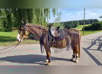 Fransen - Ausreitdecke