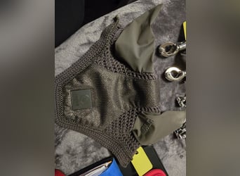 Fliegenohren Eskadron Pony 