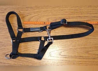 Fohlenhalfter, 2x Leder + 2x Nylon