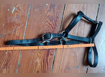 mehrere Ponyfohlenhalfter