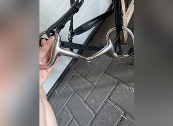 Busse Olivenkopfgebiss einfach gebrochen (2 mal da)