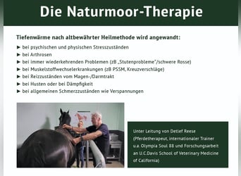 Ahlenmoor Therapie-Einrichtung für Pferde