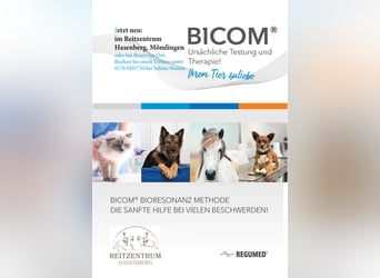 Bicom® Bioresonanz Methode - Ursächliche Testung und Therapie für Ihr Tier