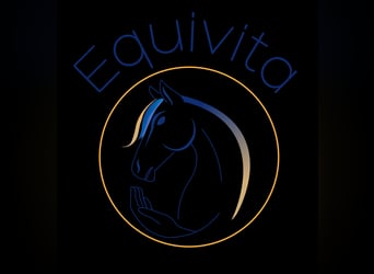 Biete Pferdephysio- und Osteotherapie rund um Pinneberg und Umgebung