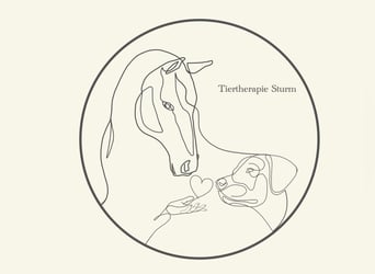 Bioresonanztherapie