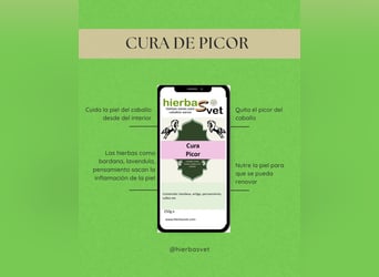 Dermatitis estival equina