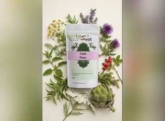 Dermatitis estival equina