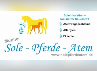 Sole- Pferde- Atem Ihre mobile Pferdeinhalation