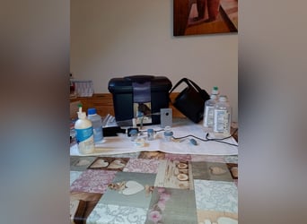 Inhalator Flexineb E3 Medi schwarz zu verkaufen