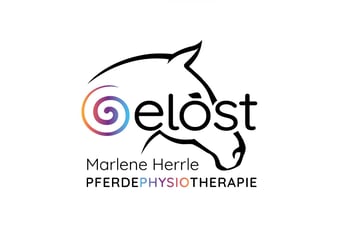 Pferdephysiotherapie 