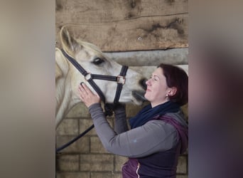 Sanfte Osteopathie und Training für Pferde