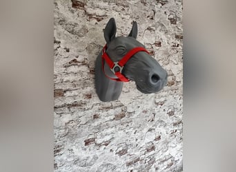 Halfter für Shetlandpony "Rot"