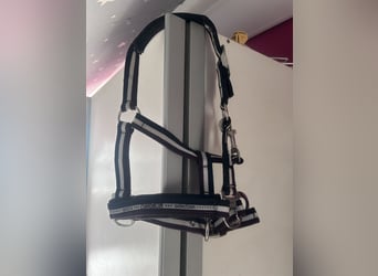 2halfter und 1 schabracke