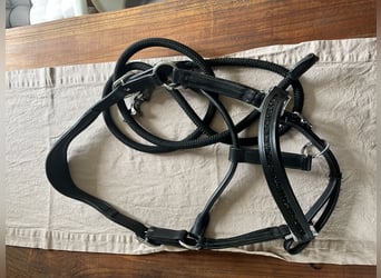 Aro Equi Lederhalfter, Schwarz, Größe WB