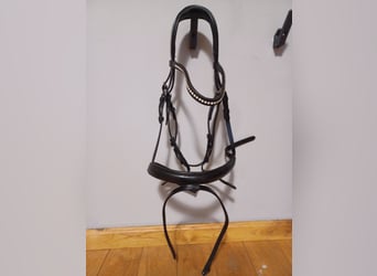 Eleganter Lederzaum Warmblut Claridge House Marley von Krämer