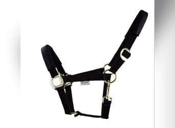 EQuest Halfter Equi-Stretch schwarz WB