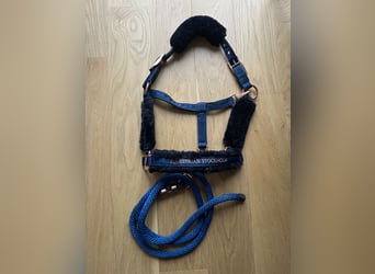 Equestrian Stockholm Halfter Set Monaco Blue WB