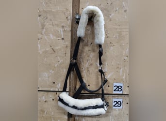 Eskadron Halfter mit Lammfell 