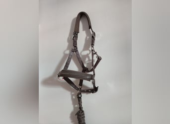 Eskadron Halfter mit Strick