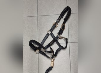 ESKADRON Halfter Platinum Edition schwarz Gr. V (VB) mit Strick