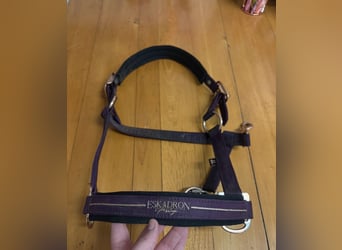 Eskadron Heritage Halfter WB