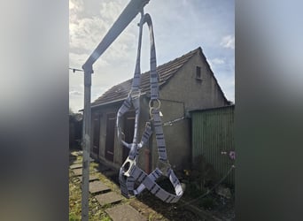 Gut gebraucht erhaltene Halfter zu verkaufen