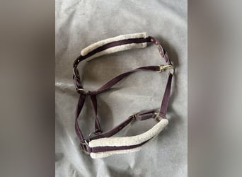 Halfter Felix Bühler Nightsky 