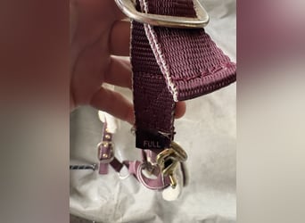 Halfter Felix Bühler Nightsky 