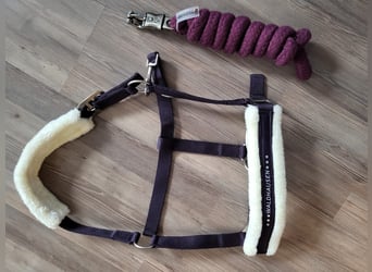 Halfter und Strick Waldhausen Gr. Full lila neu